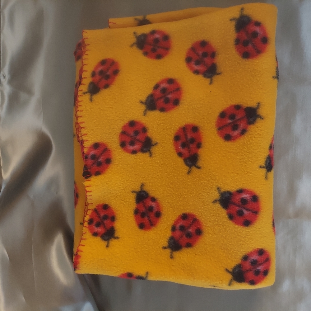 Super cute 5' × 4' Soft Lady Bug Blanket